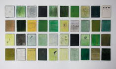 Carola Czempik, Gras